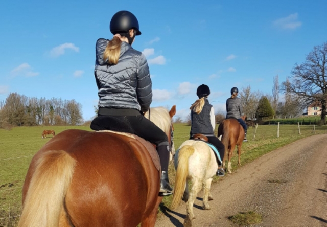  Paseo en poni en Villers-sur-Port 