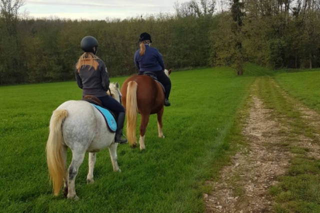 Nuestros pbaños en poni están supervisados por un instructor certificado por el estado 