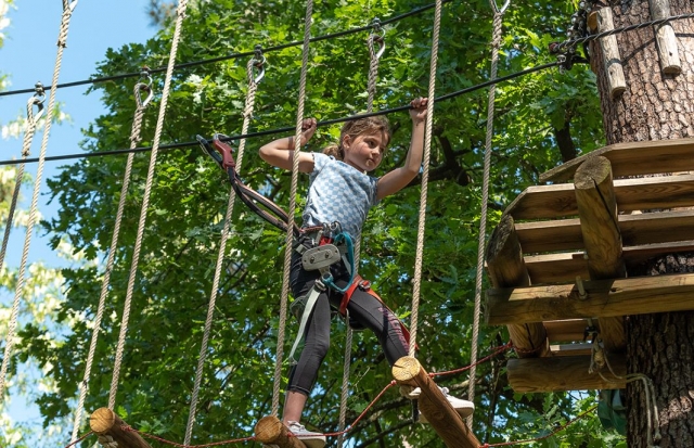  Desarrolla su agilidad con la escalada de árboles 