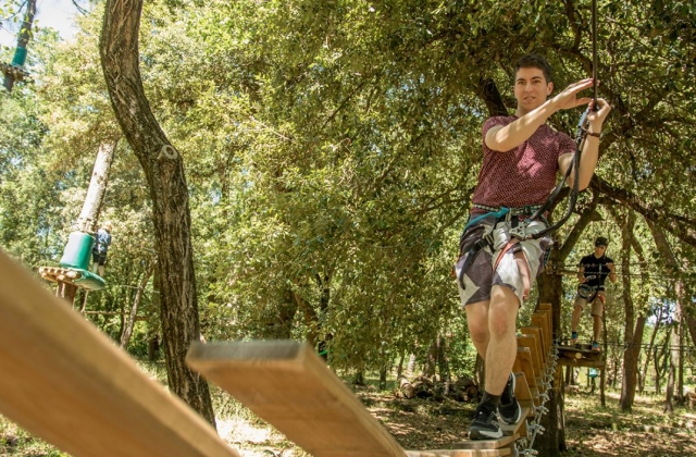  Supérale duranle esle sesión de escalada de árboles 