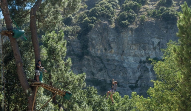Disponemos de diferentes tirolinas destinadas a sumergirle en la naturaleza 