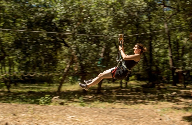  Tirolesa del curso de escalada de árboles de nivel intermedio