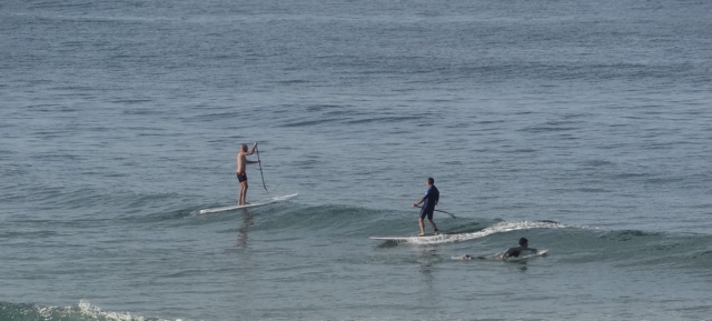 Renta su tabla de paddle y lánzale a la aventura 