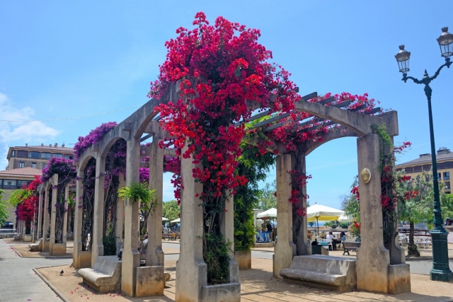  Descubrimiento de los mejores panoramas de Ajaccio