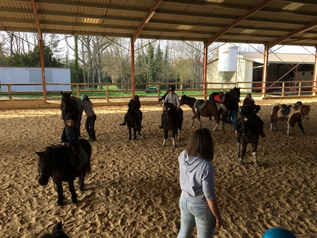  Pequeño paseo en pony para niños 