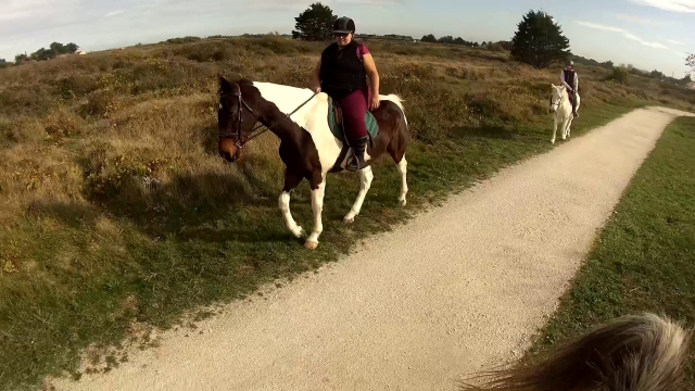 Vamos a dar un increíble paseo a caballo en plena naturaleza