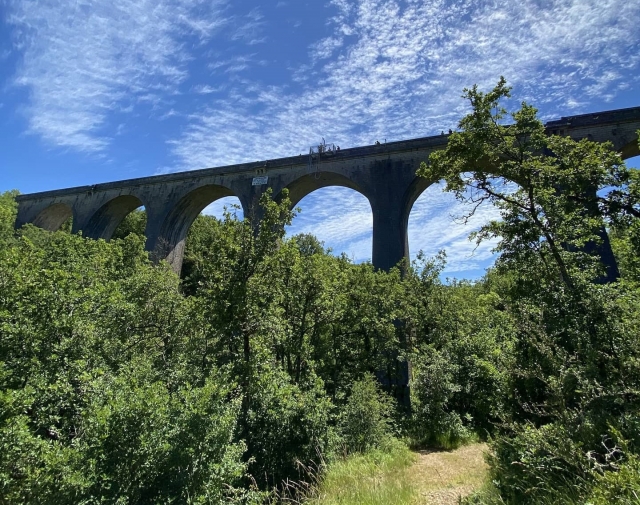  Viaducto Sainle-Eulalie-de-Cernon 
