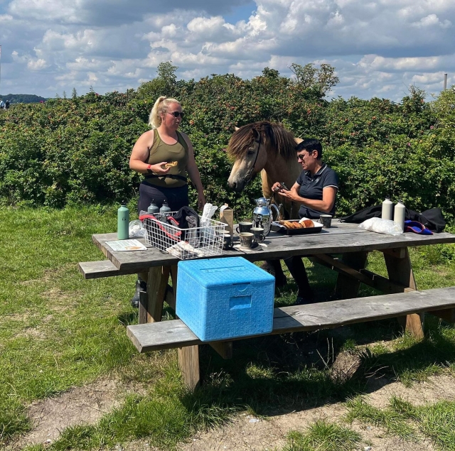 Pausa para almorzar en un entorno verde 