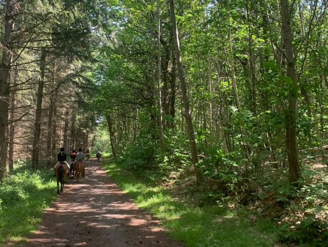  Paseo caminos bucólicos