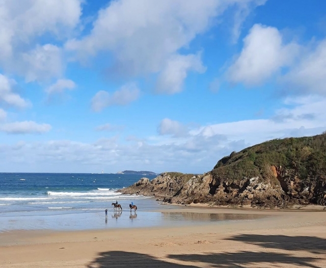 2 horas de pura felicidad ecuestre