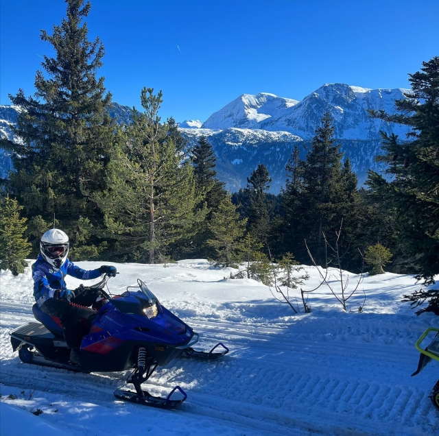 En los macizos alpinos 
