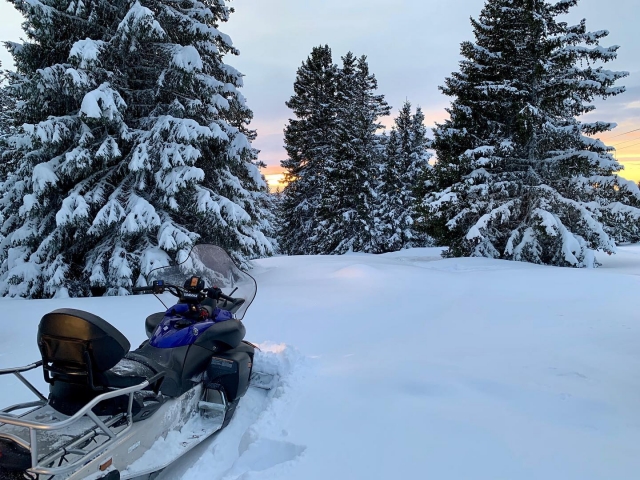 En la nieve polvo 