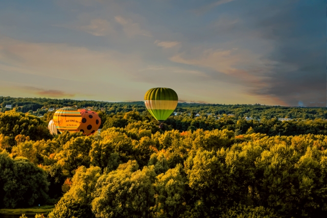 Sobre el bosque de Fontainebleau