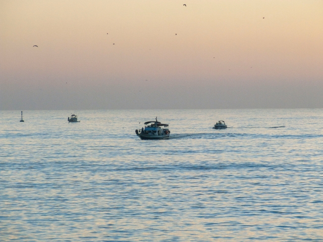  El Mediterráneo 