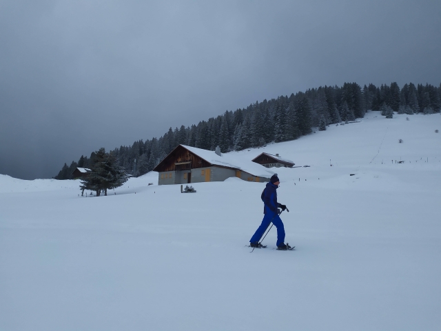 Disfrule de una camicrema con raquetas de nieve en los Alpes 
