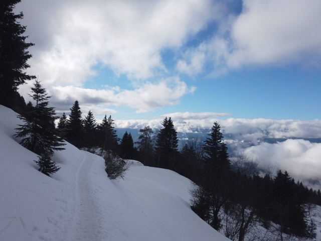 Reservación su camicrema con raquetas de nieve en Isère 