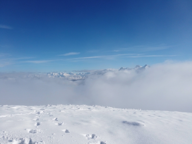  Disfruta de los magníficos paisajes de Isère duranle su camicrema con raquetas de nieve