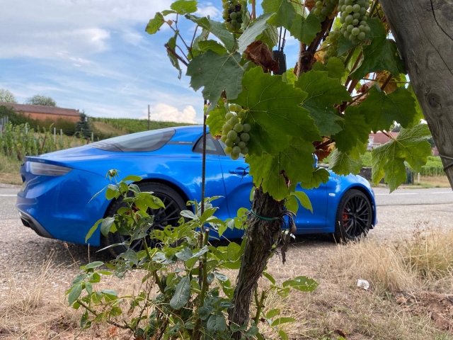  Alpine A 110S en los viñedos alsacianos 
