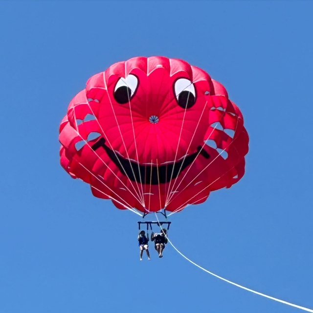 Participantes en el aire 