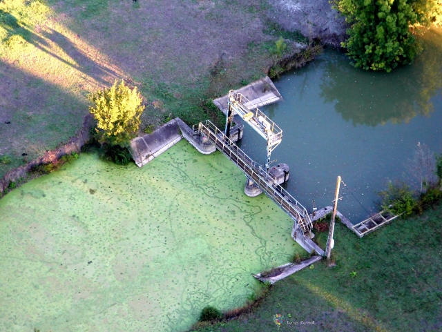  Vista de la red de canales de la Venecia Verde 