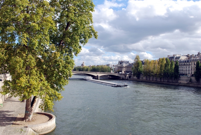  La Île de la Cité, paraíso para los paseantes 
