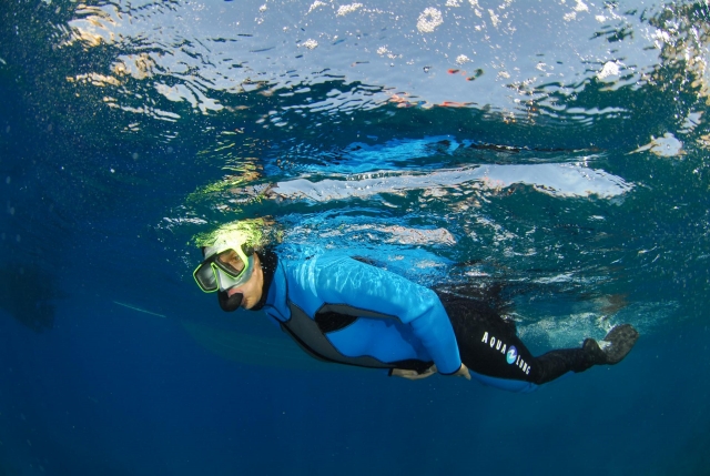  Descubrimiento del mundo marino
