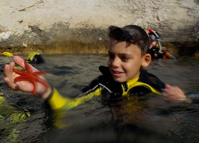 Una estrella de mar roja 