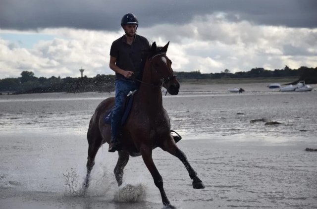  Jinele intrépido y su montura 