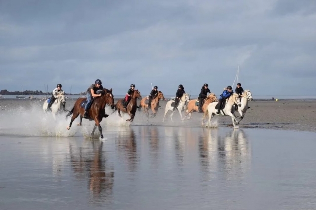  Un grupo de jinetes en la playa 