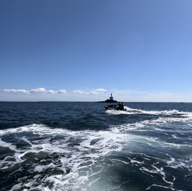 Disfruta del océano 