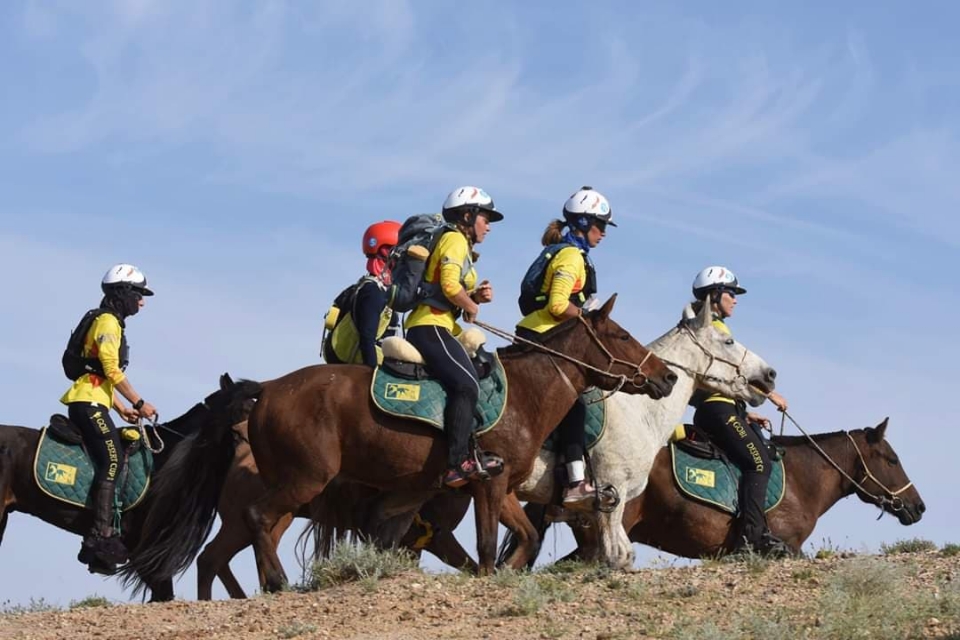  Grupo de jinetes paseando al paso