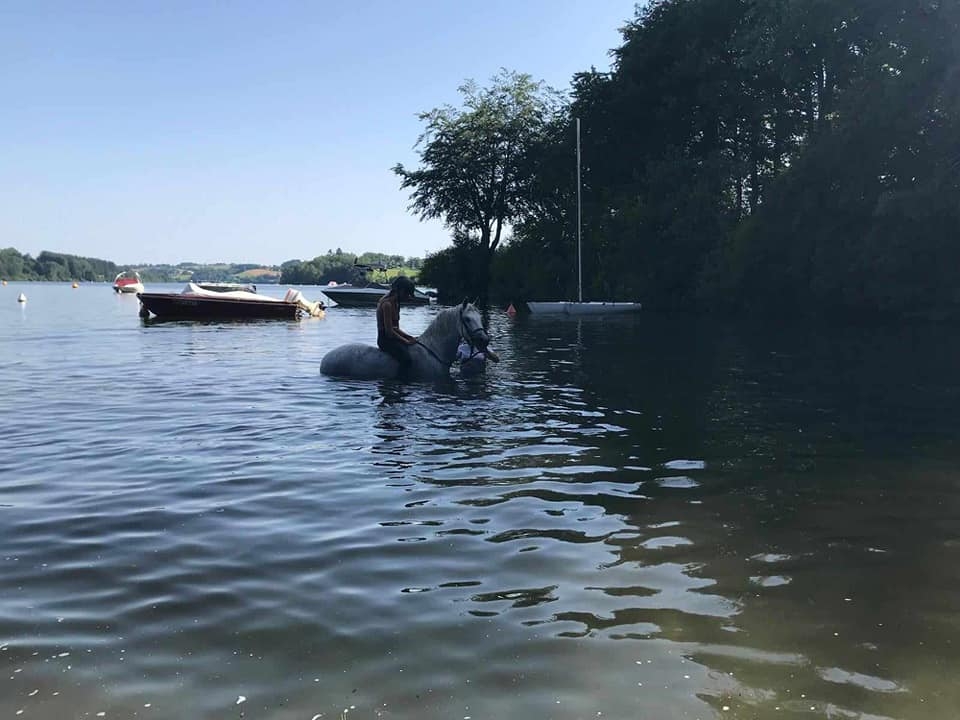 Pbaños a caballo por el lago Pareloup Pbaños a caballo por el lago Pareloup
