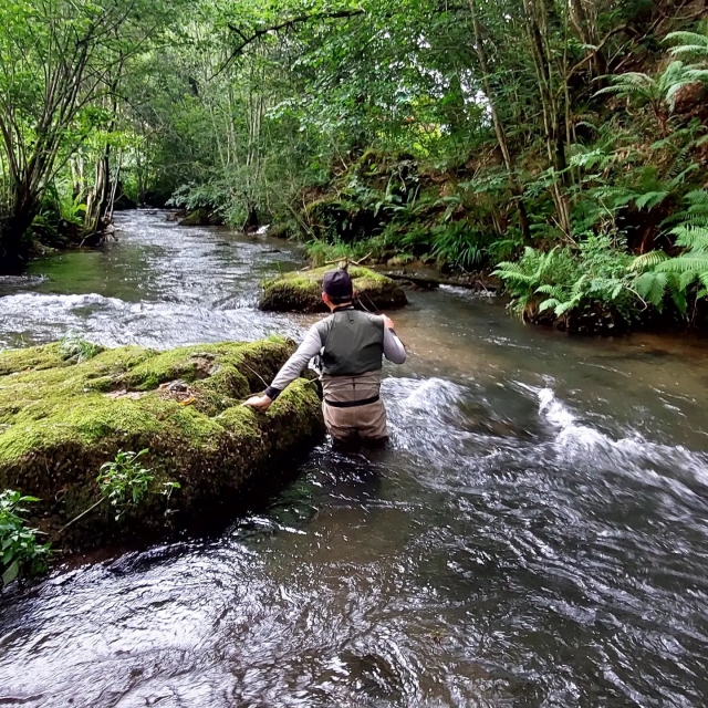 Pêche dans les eaux vives de la Nivelle
