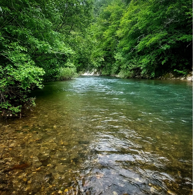 Lección de pesca en un entorno verde excepcional