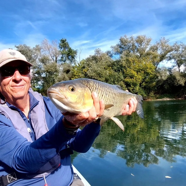 Pesca de trucha y salmón atlántico en Nive