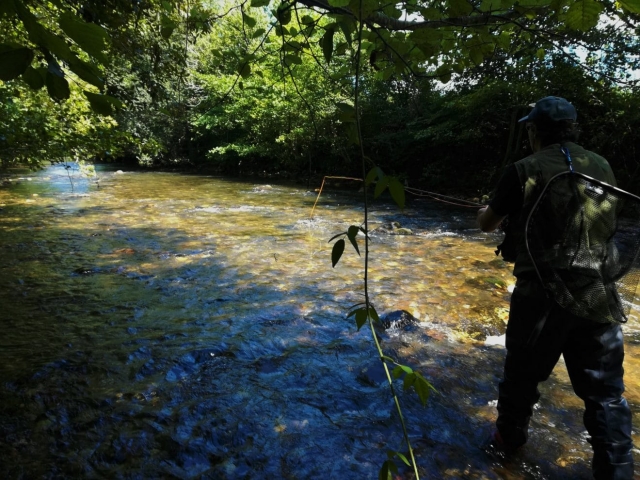Pesca de tres días curso cerca de Biarritz