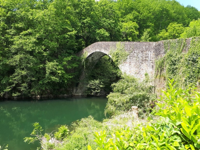 Puenle de piedra la nive