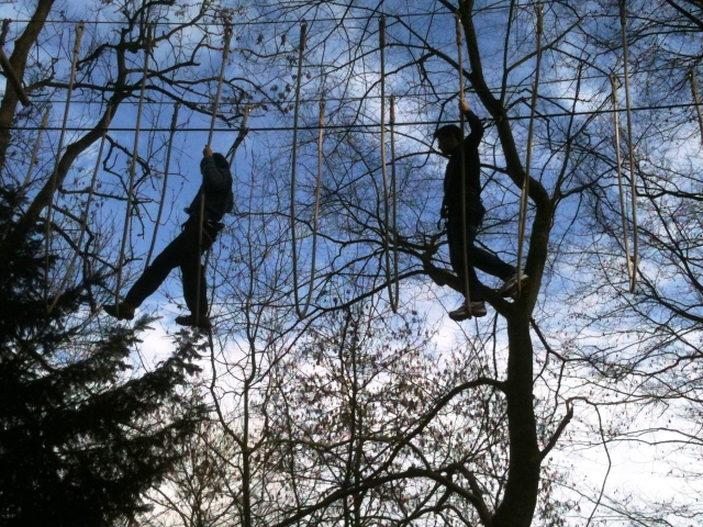Una mezcla de bungee y escalada de árboles 