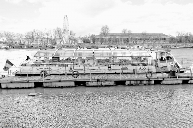  Grandes barcos le esperan ¡para usted!