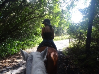 Pbaños a caballo - Huerto en Saint-Benoît 45 min