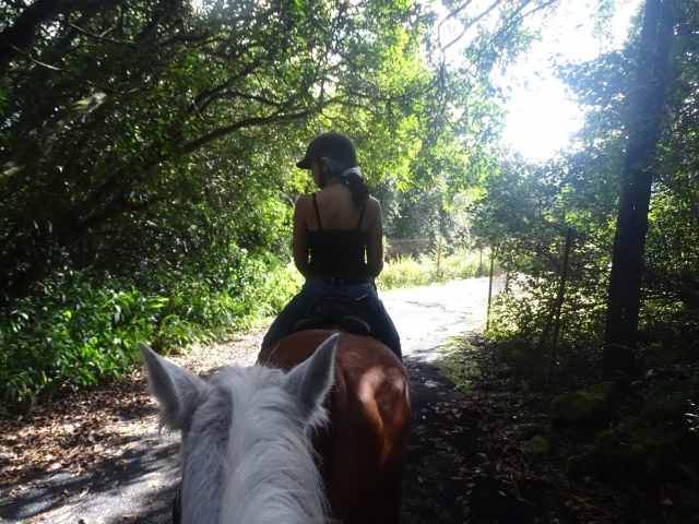 Pbaños a caballo - Huerto en Saint-Benoît 45 min