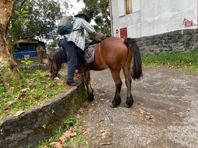  Apóyate en nuestros caballos para una aventura excepcional