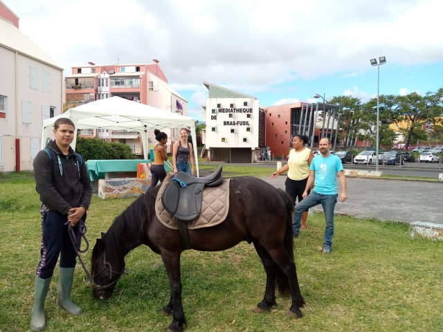  Esté en contacto con nuestros caballos durante esta sesión 