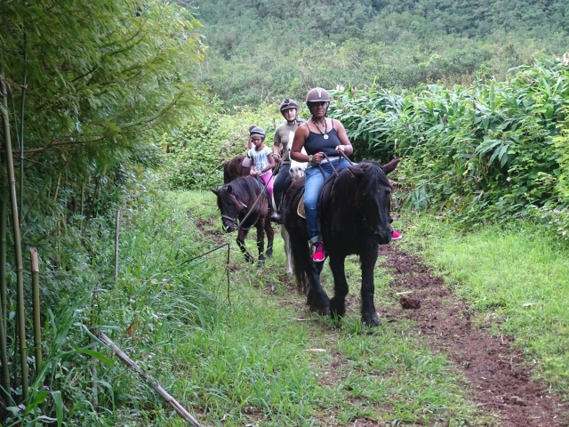  ¿Quiere hacer un nuevo mejor cuate para caminar? 