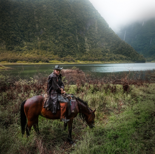  ¡Apóyate en uno de nuestros caballos para un paseo inolvidable en la Isla de la Reunión!