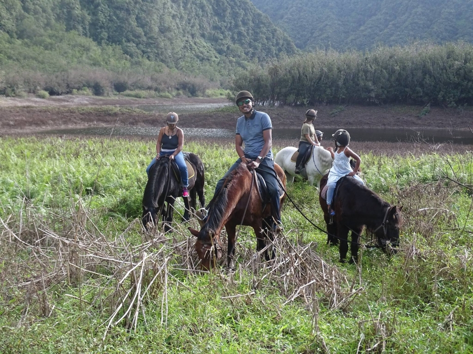 Experimente sensaciones únicas a lomos del caballo 