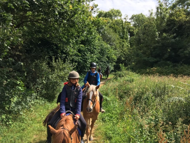  ¡Da un paseo con su caballo solo para usted! 