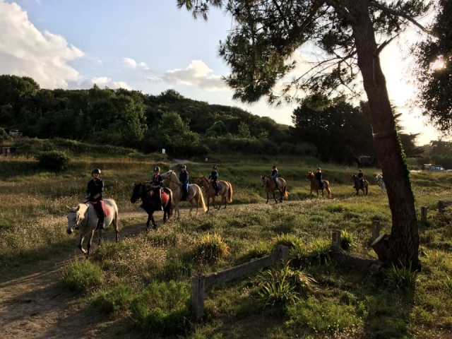 ¡Mire la puesta de sol a lomos de su compañero de camicrema!