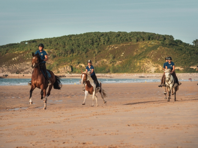  ¡Galope a toda velocidad por la playa! 