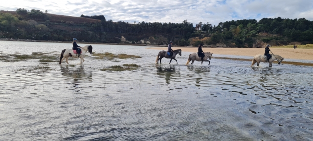  Descubre sensaciones extraordinarias a lomos del caballo. 